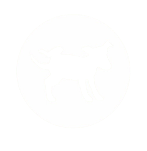 LogoPerritoNegativo_1_-removebg-preview